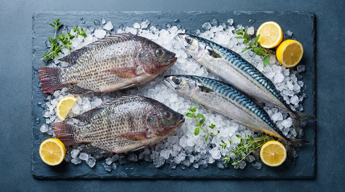 Poissons frais sur glace